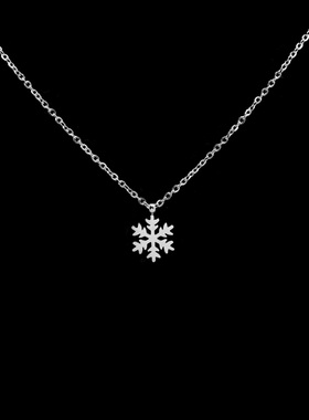 韩系雪花项链女生项链高级感轻奢小众锁骨链气质简约颈链女配饰