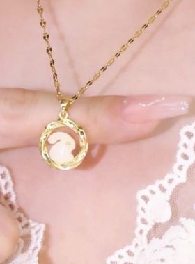 本命年复古玉兔锁骨项链