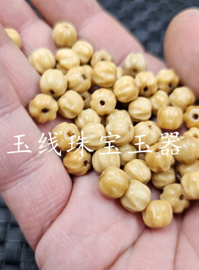 菩提根南瓜子散珠牙黄福瓜
