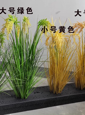 仿真稻穗颜色好不掉穗水稻