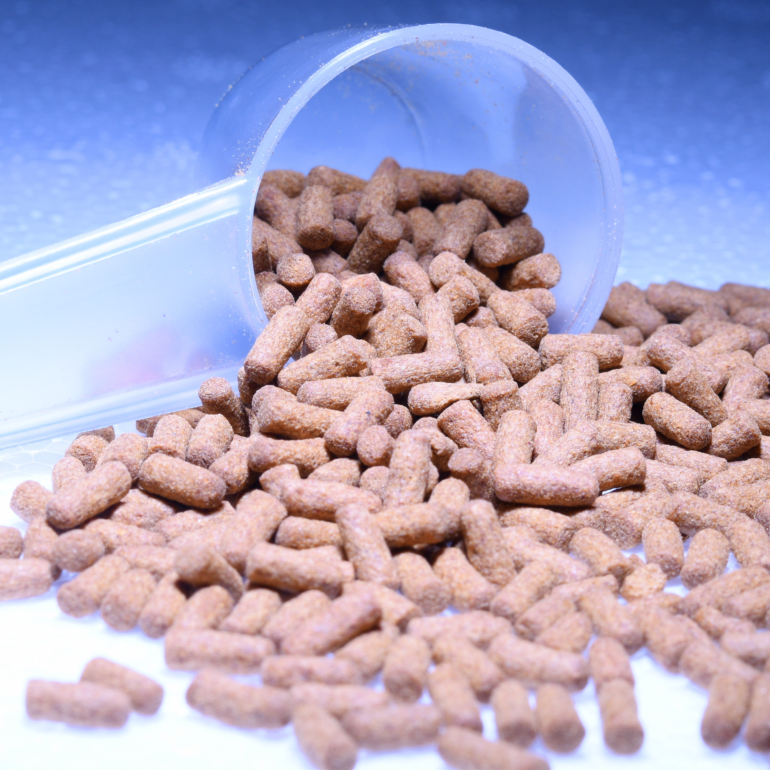 鱼食雷龙鱼饲料龙鱼饲料鱼饲料观赏鱼饲料鹦鹉鱼饲料牙鱼地图鱼鱼 - 图2