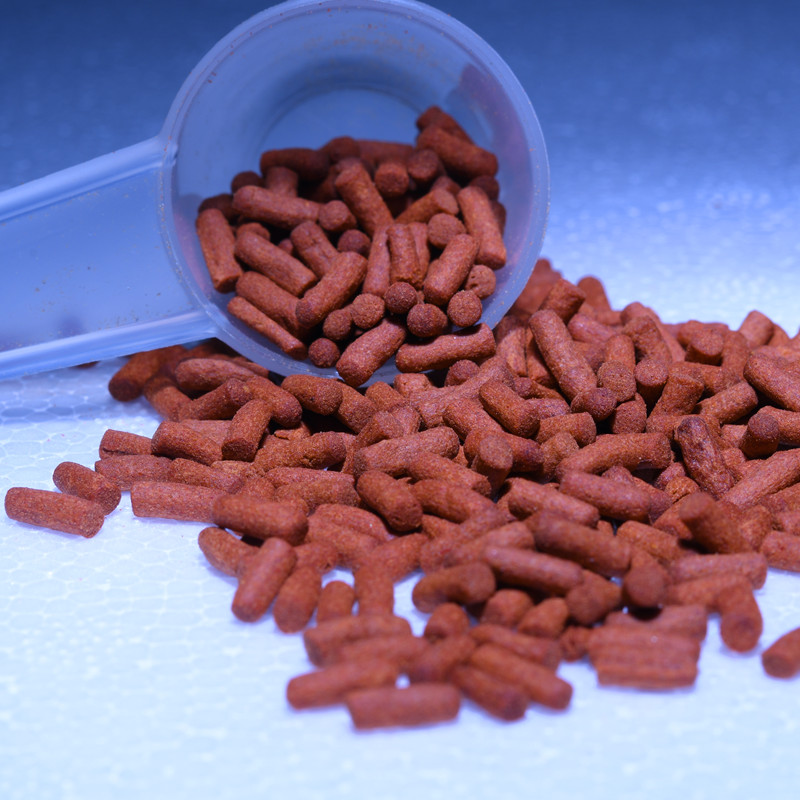 鱼食雷龙鱼饲料龙鱼饲料鱼饲料观赏鱼饲料鹦鹉鱼饲料牙鱼地图鱼鱼 - 图1