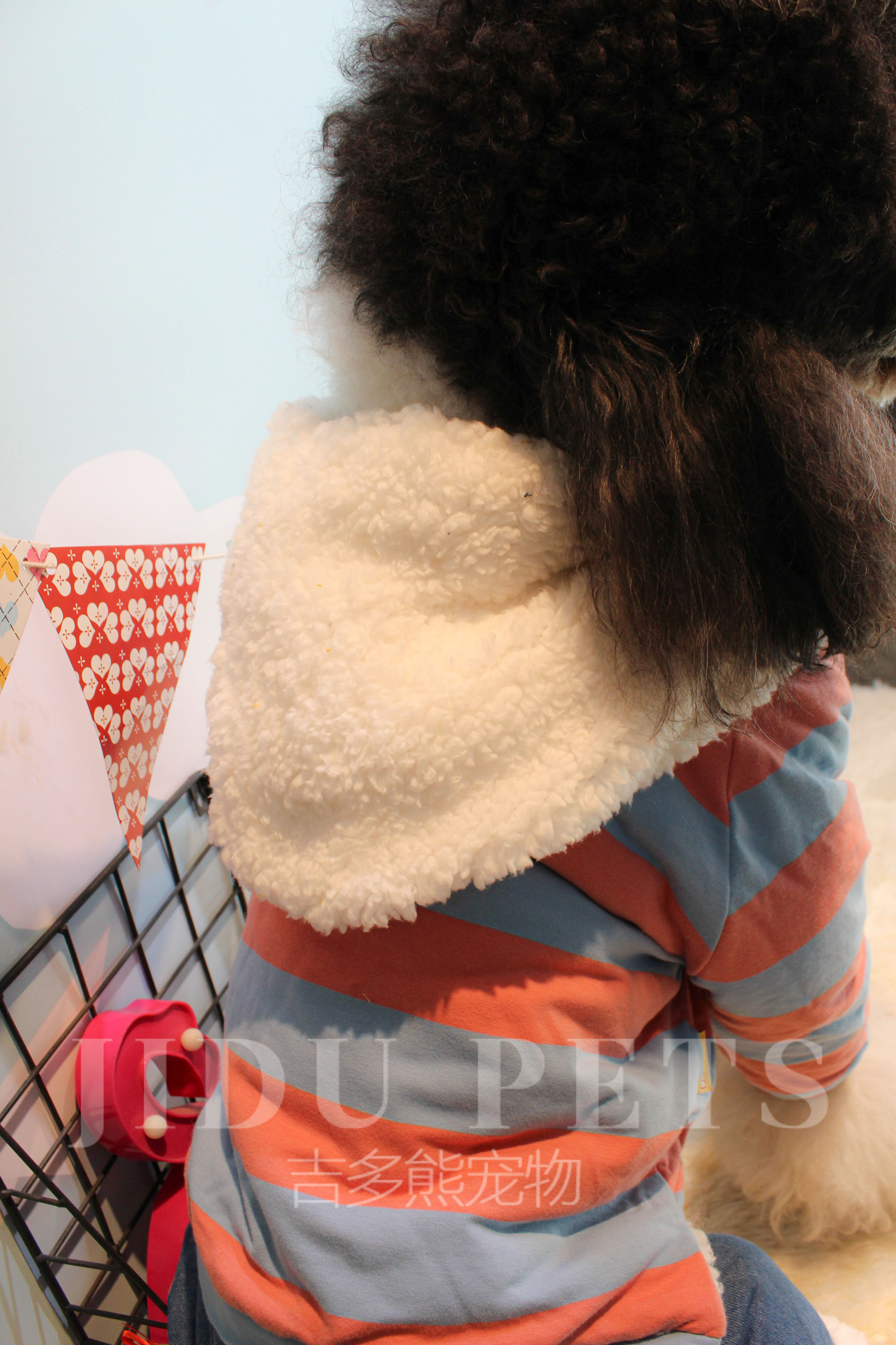 吉多熊包邮宠物狗狗衣服可爱绒秋冬加厚棉衣四脚四腿秋田柴犬巨贵 - 图1