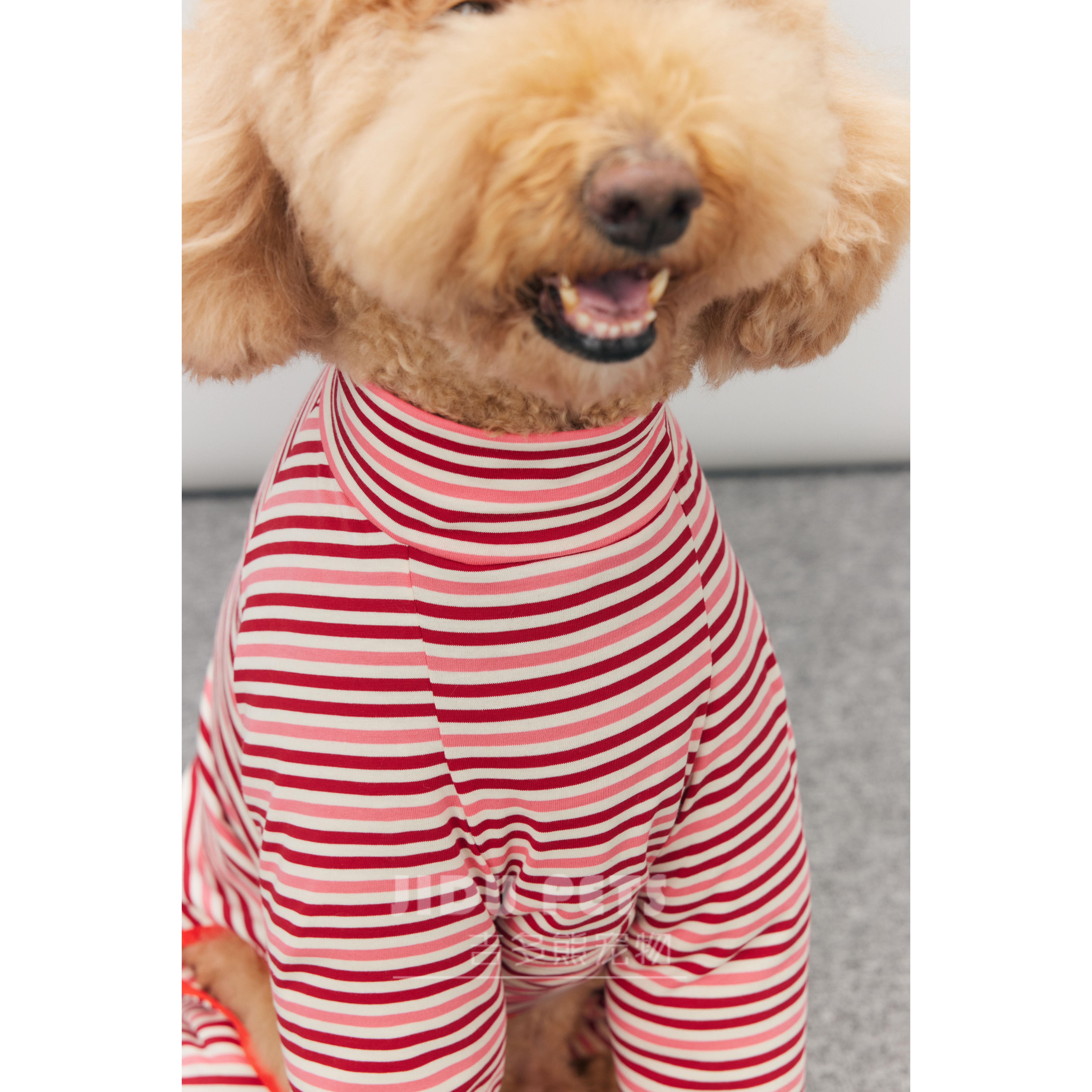 宠物服装大型犬打底衫四腿加长防掉毛四脚衣防外出脏狗衣服巨贵犬 - 图2