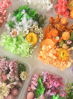 永生花材料包干花相框团扇画贺卡干花曙光天然真花盒滴胶diy沙龙