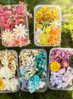 永生花干花diy花材包花束装饰