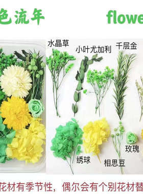 永生花干花材料包DIY相框贴画团扇浮游瓶团建活动花艺课手工花料
