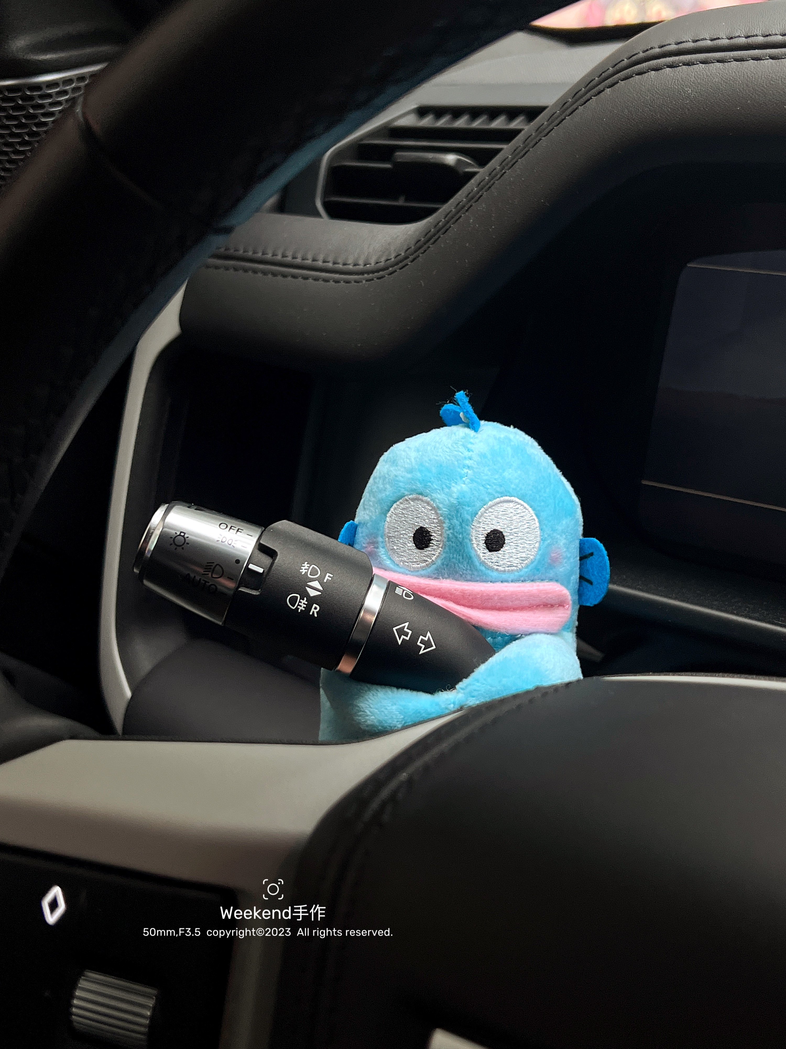 丑鱼汗顿汽车怀挡装饰品汽车雨刮器转向灯装饰品毛绒公仔新车礼物,淘宝优惠券,粉丝福利购,淘宝优惠卷