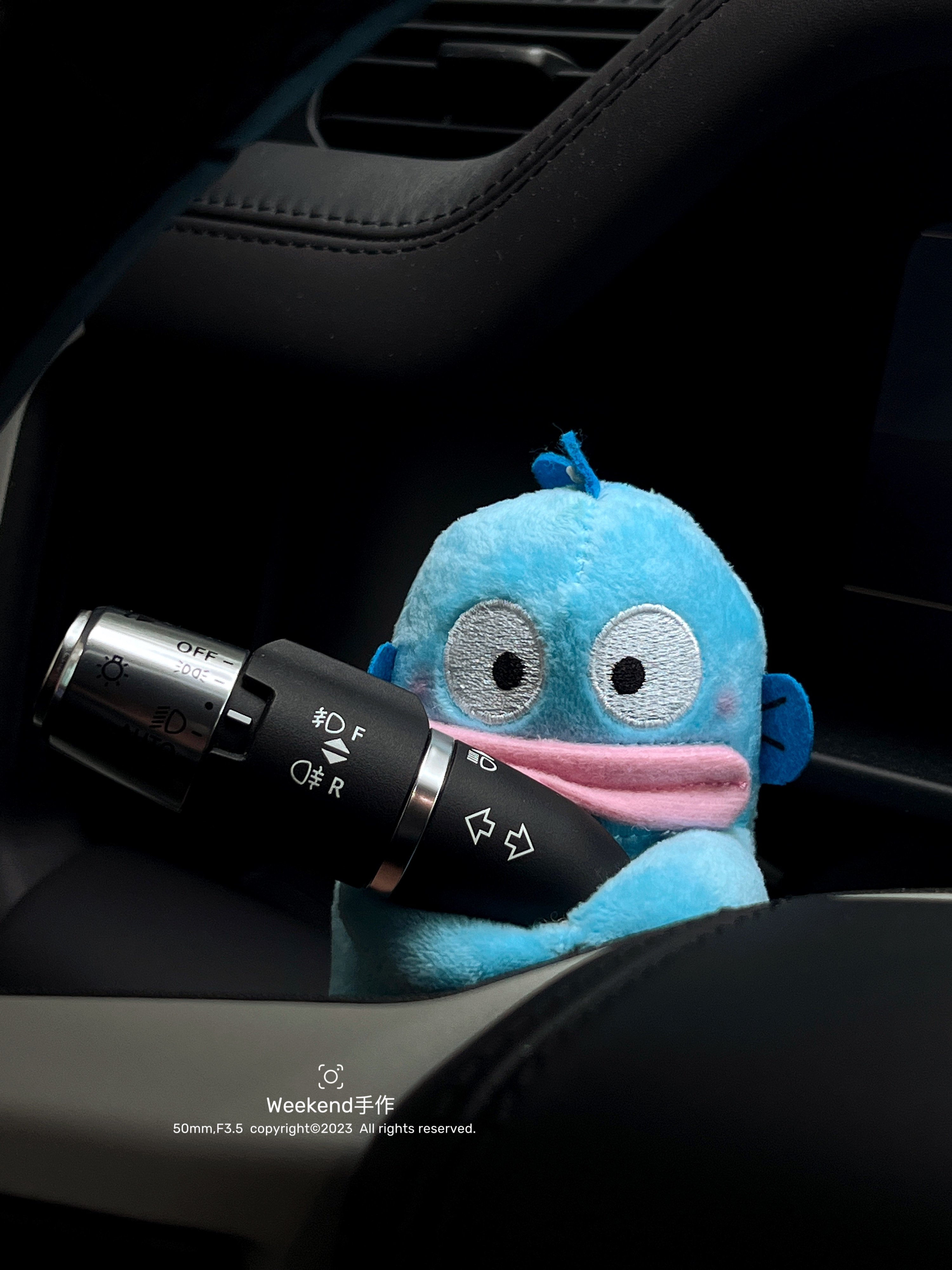 丑鱼汗顿汽车怀挡装饰品汽车雨刮器转向灯装饰品毛绒公仔新车礼物,淘宝优惠券,粉丝福利购,淘宝优惠卷