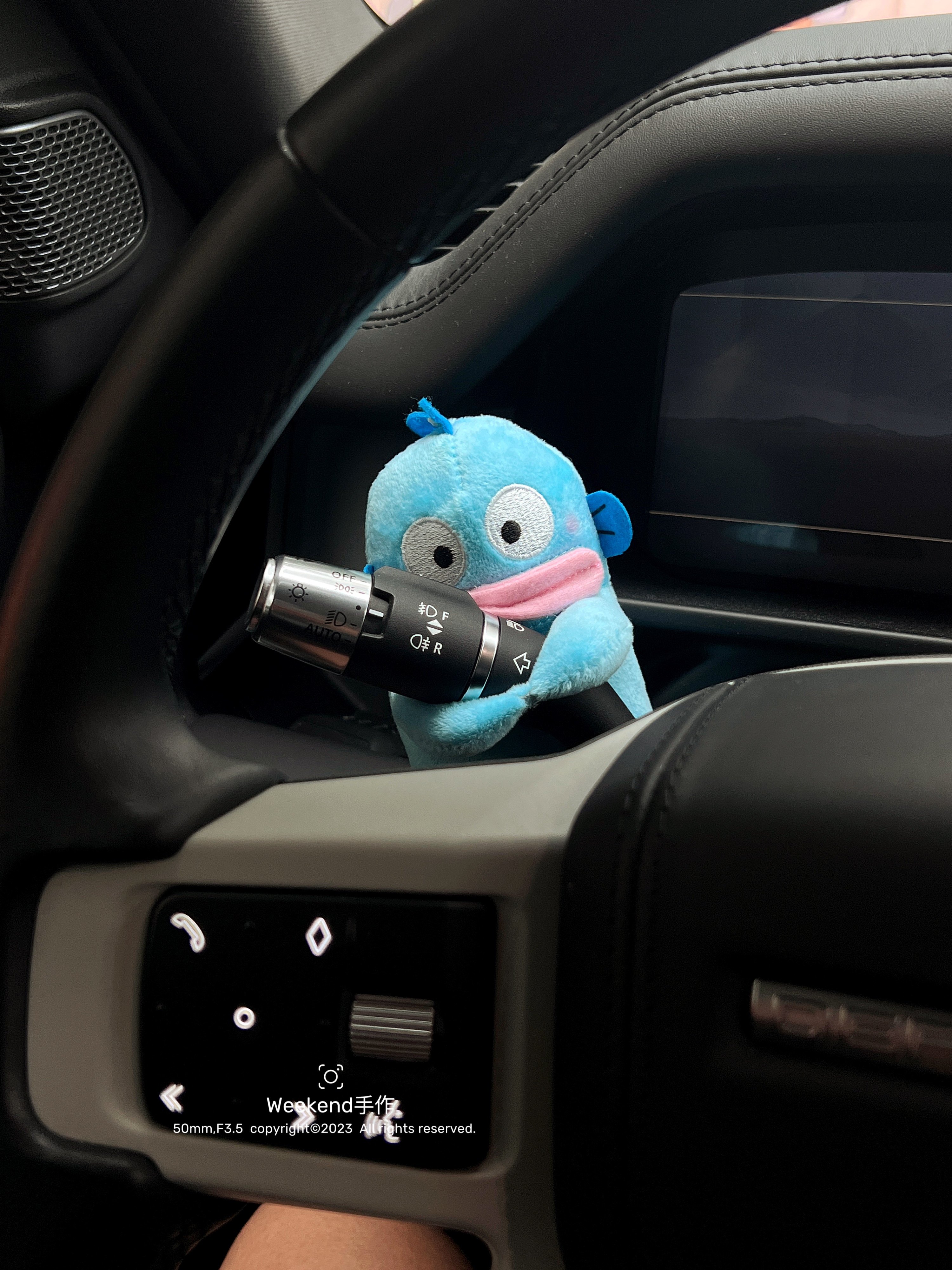 丑鱼汗顿汽车怀挡装饰品汽车雨刮器转向灯装饰品毛绒公仔新车礼物,淘宝优惠券,粉丝福利购,淘宝优惠卷