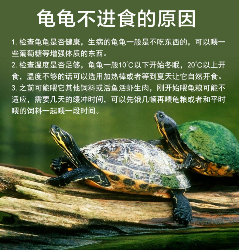 满5袋包邮三友创美100g宝宝龟高钙龟粮离子生物钙巴西草龟食饲料_虎窝淘
