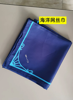 比亚迪海洋网拉链免打领带4S店销售手打领带