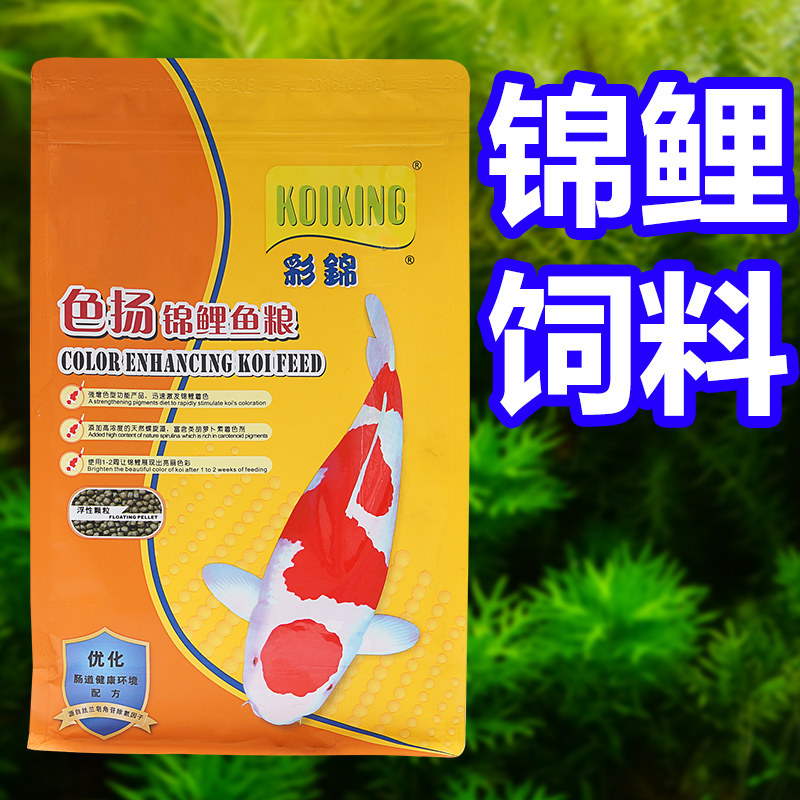 彩锦王锦鲤鱼育成螺旋藻饲料鱼粮 吴巍宠物用品观赏鱼饲料