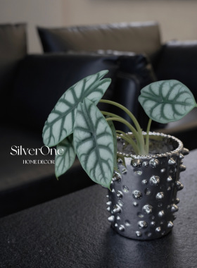 SilverOne出口品质高颜值花盆