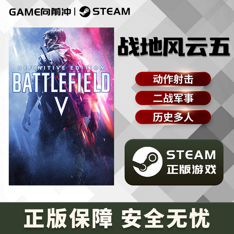 战地风云五 战地5 Battlefield V STEAM正版 PC中文 国区激活码 - 图3