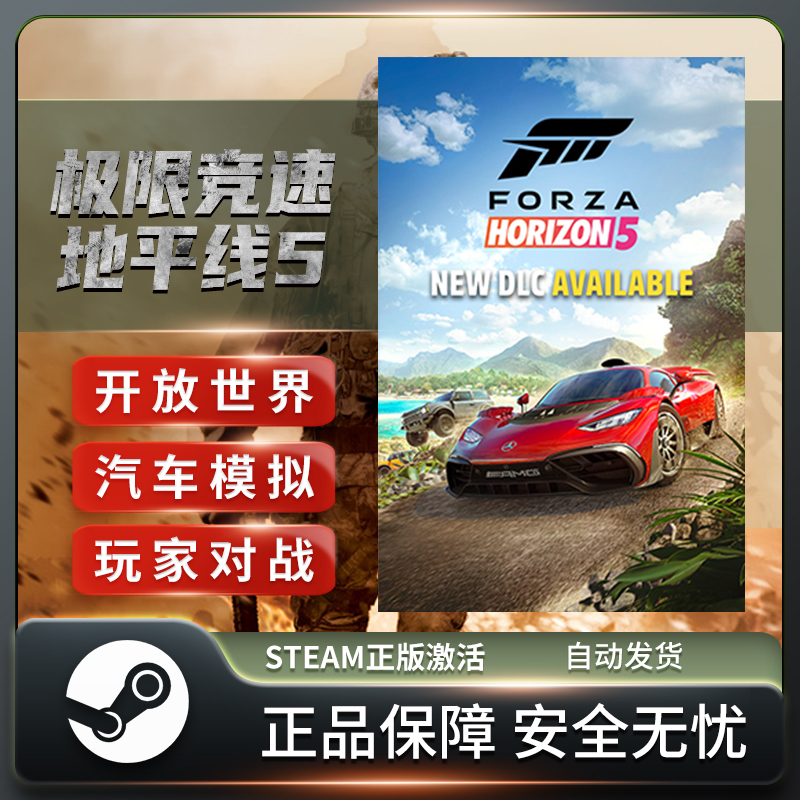 极限竞速 地平线5 Forza Horizon 5 STEAM正版 PC中文 玩家对战 - 图3