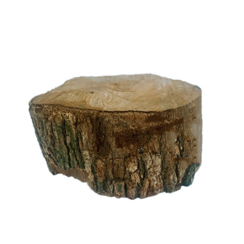 龟缸造景龙眼木爬台水草乌龟晒台爬坡龟龟用品高水位浮岛龟台晒背 - 图3