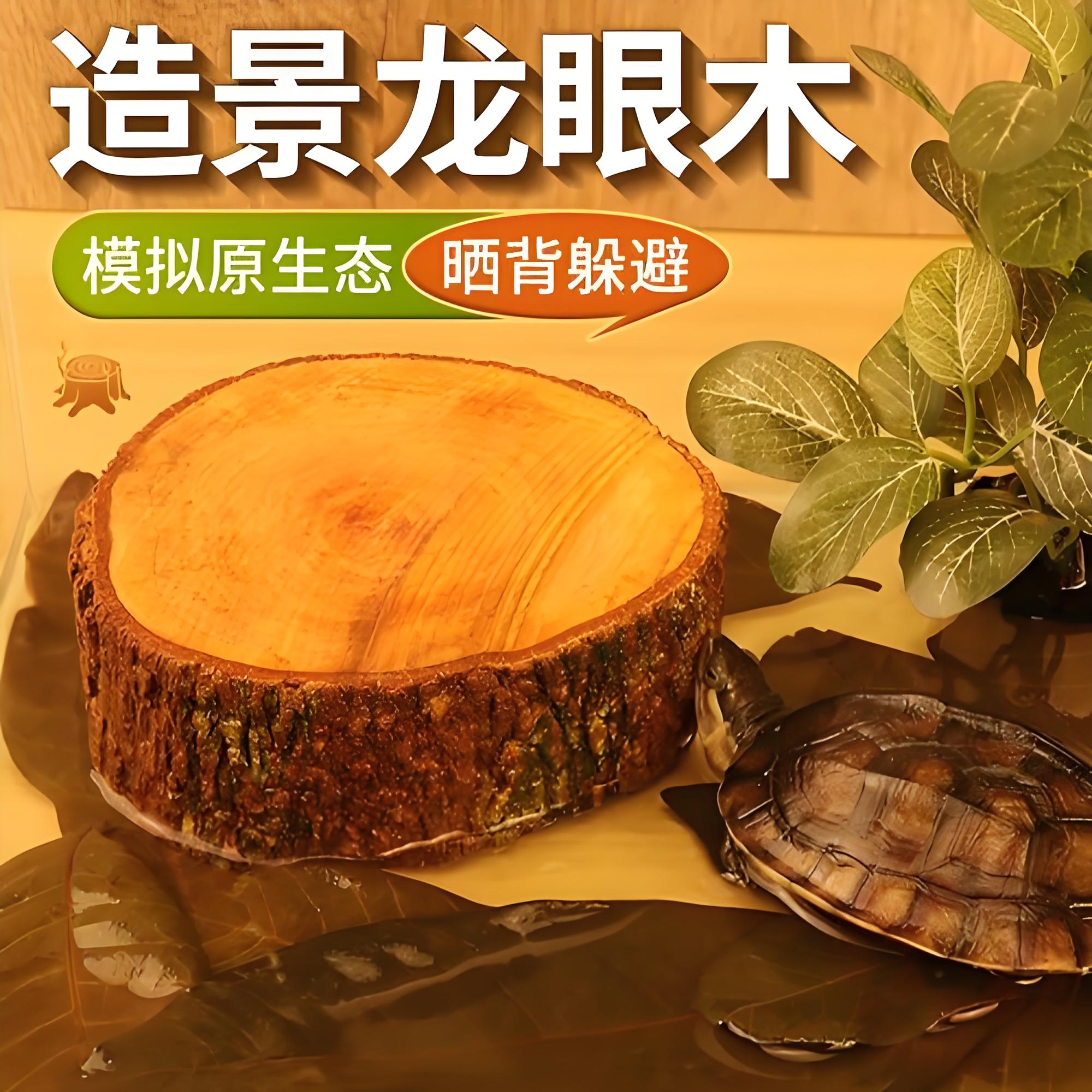 原生态天然龙眼木乌龟晒背台造景沉木悬浮爬坡立体防腐皮腐甲沉木,淘宝优惠券,粉丝福利购,淘宝优惠卷