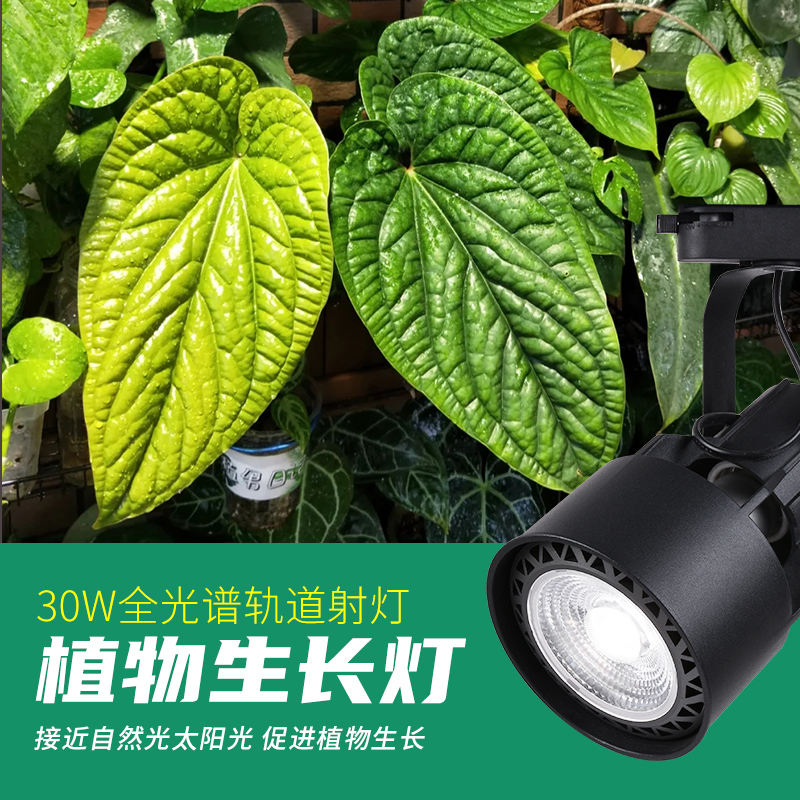 光联天下30W植物生长灯LED轨道射灯全光谱自然光绿植景观墙补光灯