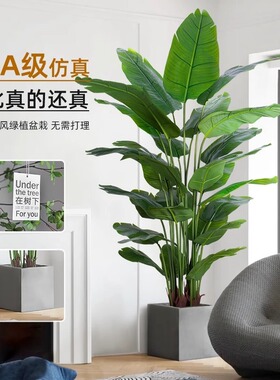 十年老厂家+仿真绿植+环保不掉色