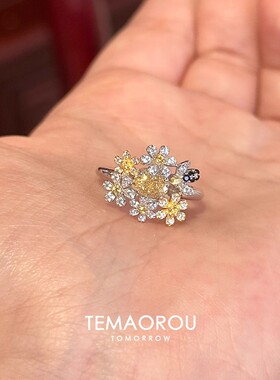 DESIWCEN德斯琛秘密花园秋日钻小