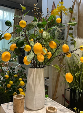 家居花艺装饰仿真树枝柠檬