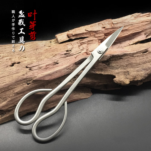 盆景球节剪叶芽修剪麦斯旺园艺盆景制作破杆剪套装工具不锈钢球钳 - 图1