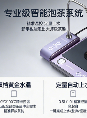 品察纯钛双层真空烧水壶无缝内胆
