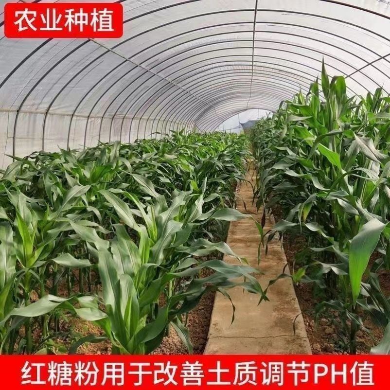 红糖养殖专用50斤工业红糖水产养殖农业种植EM菌培发酵水肥污水处 - 图2