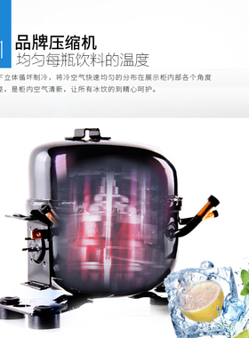 立式展示柜冷藏柜南凌单门保鲜柜