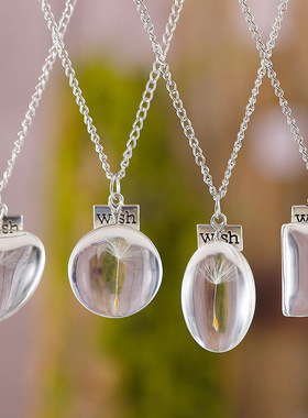 跨境蒲公英时光宝石项链心形圆形