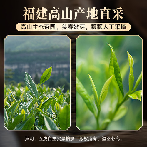 五虎梅占金骏眉红茶特级浓香型官方旗舰正品武夷红茶叶茶叶罐装 - 图2