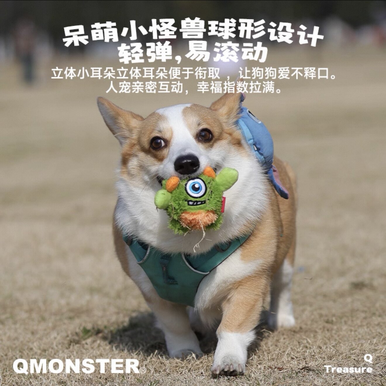 Qmonster狗狗玩具弹力球可爱毛绒玩具耐咬发声大中小型犬宠物玩具,淘宝优惠券,粉丝福利购,淘宝优惠卷