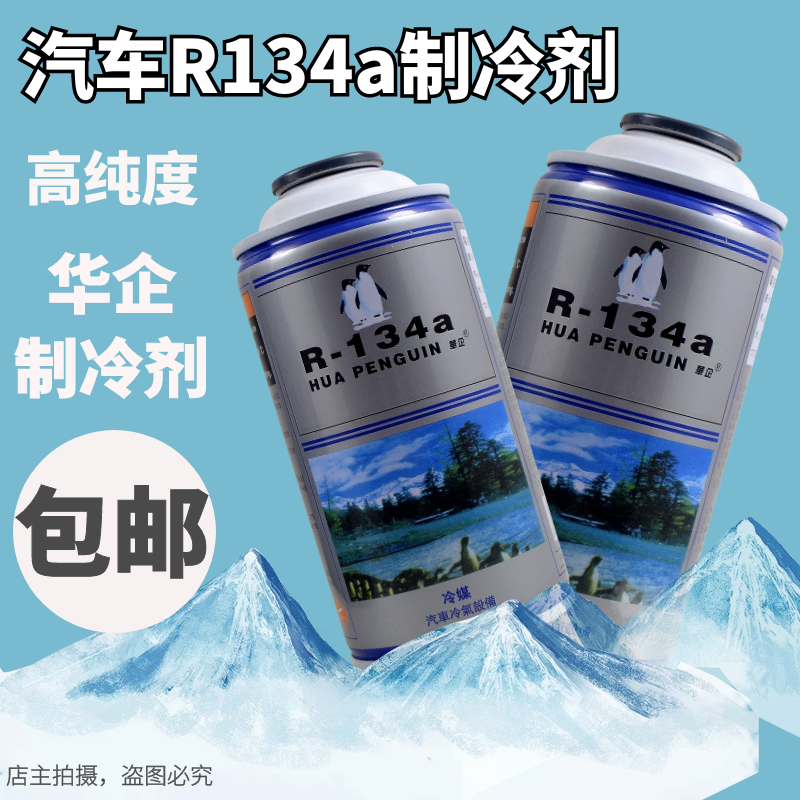 汽车雪种冷媒R134a空调制冷剂车用环保氟利昂补充加氟工具套 - 图0