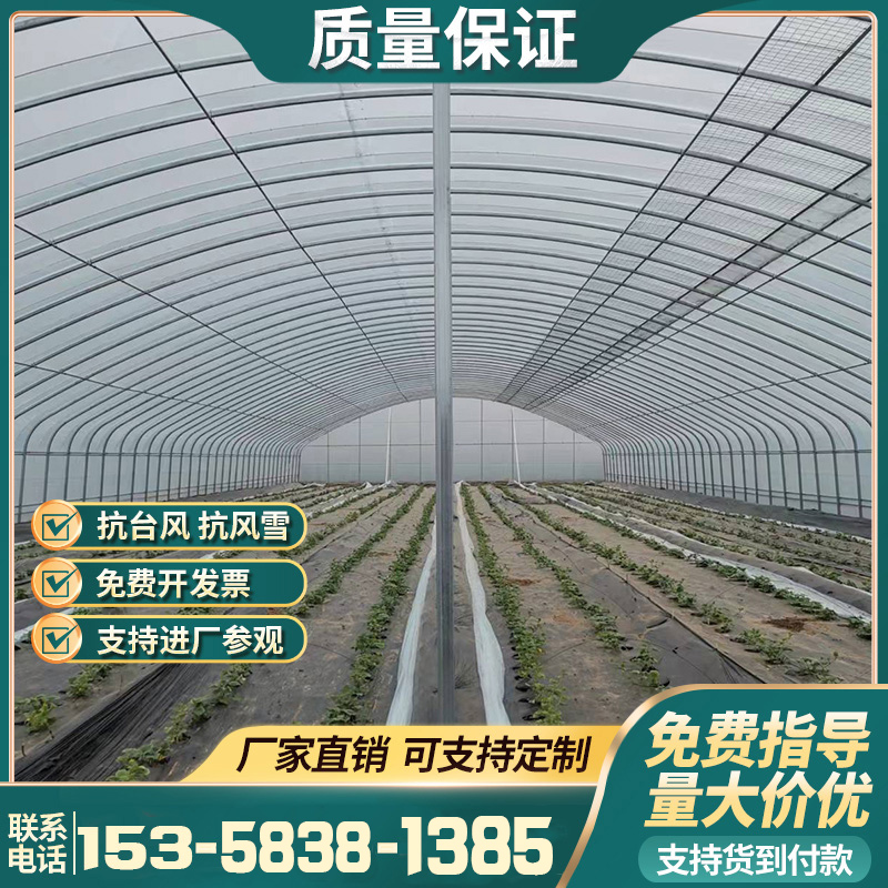 新型温室养殖大棚骨架钢管全套保温蔬菜连栋椭圆管鸡牛羊大棚简易