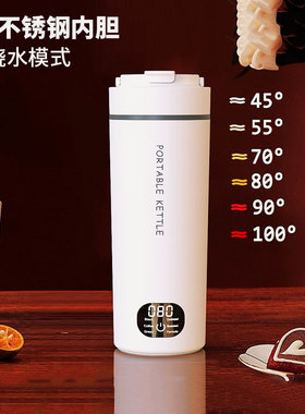全球电压316不锈钢电热水杯