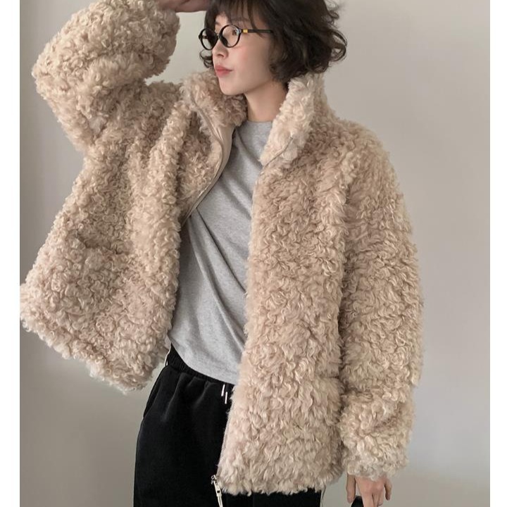 韩国东大门冬季立领毛圈仿皮草短款宽松软糯拉链保暖羊羔毛外套女 - 图0