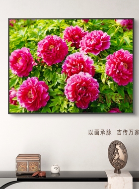 满堂红客厅装饰画牡丹花开富贵吉庆挂画茶室走廊卧室壁画五行木火