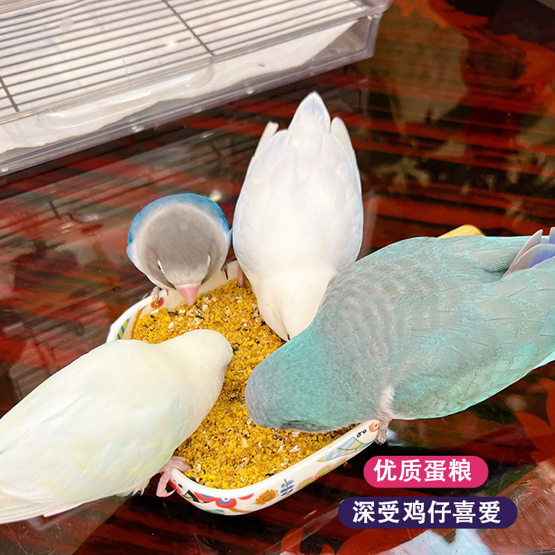 维特魔轮鹦鹉蛋粮美羽繁殖雏鸟断奶营养玄凤虎皮牡丹鸟粮进口饲料 - 图1
