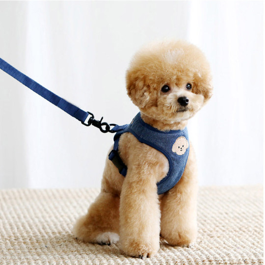 Vest type dog leash Teddy small bear Pomeranian