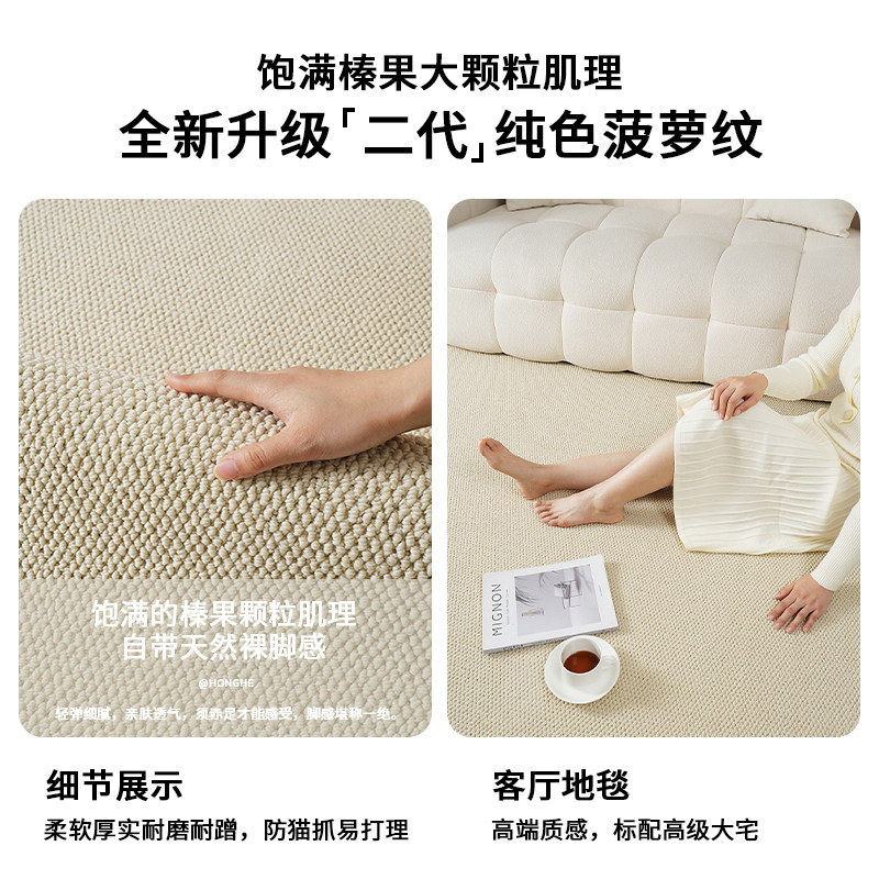 Anti-cat scratch living room bedroom bedside carpet