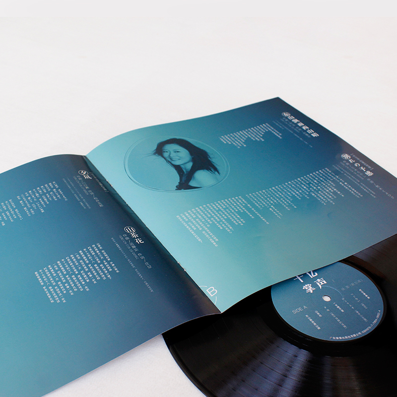 LP黑胶唱片邓丽君 蔡琴 一人一首成名曲  古典乐 彩胶 经典英文 - 图0