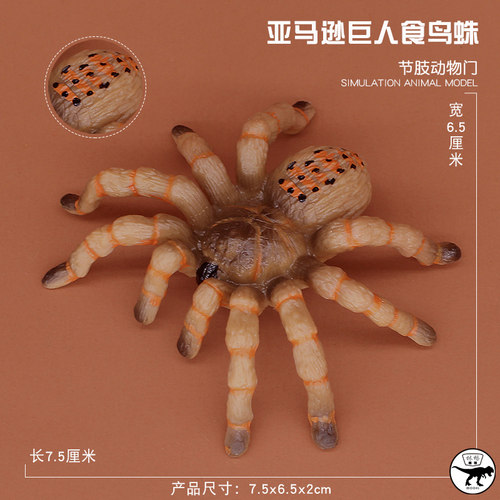 儿童仿真动物玩具塑胶昆虫蜘蛛模型亚马逊巨人食鸟蛛恶搞男孩摆件 - 图1