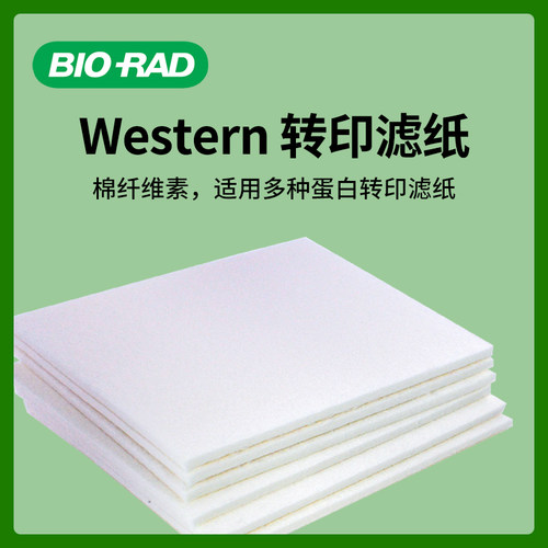 伯乐Western blot转膜转印湿转wb厚滤纸1703965/1703932天能六一 - 图1