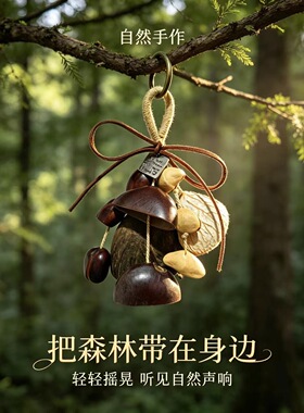 天然云南果壳摇铃听泉包挂风铃音疗愈挂铃植物果实挂件背包车挂饰