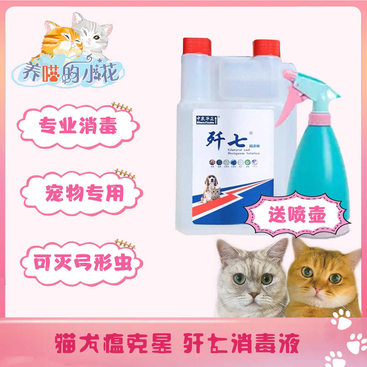猫猫虫 新人首单立减十元 21年7月 淘宝海外 猫猫虫 新人首单立减十元 21年7月 淘宝海外