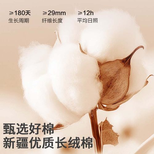 新疆一级长绒棉被春秋被加厚冬被保暖被可定做纯棉花被芯儿童被芯 - 图1