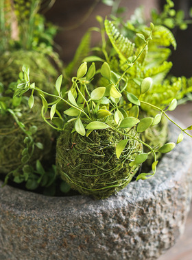 跨境仿真苔藓小草球2022新款装饰造景仿真绿植家居名宿小摆件
