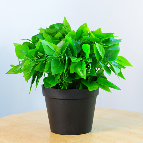 仿真绿萝盆栽室内仿真植物塑料小盆栽装饰绿植仿真花草假植物摆件 - 图3