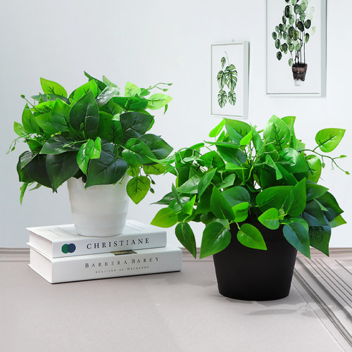 仿真绿萝盆栽室内仿真植物塑料小盆栽装饰绿植仿真花草假植物摆件 - 图2